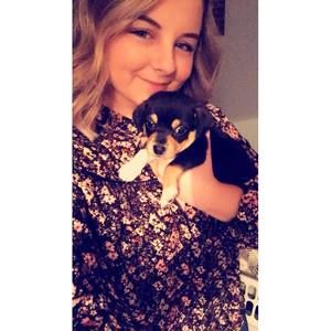 Meet your Posher, Callie